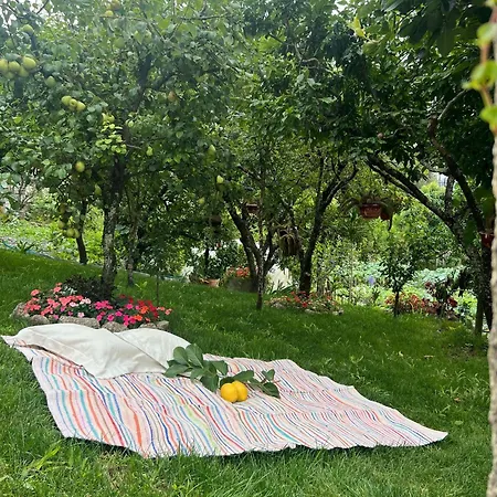 Tatil Evi Sequeira Arantes Casa 2 *