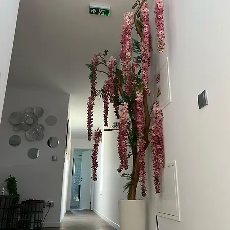 Vakantiehuis Sequeira Arantes Casa 2