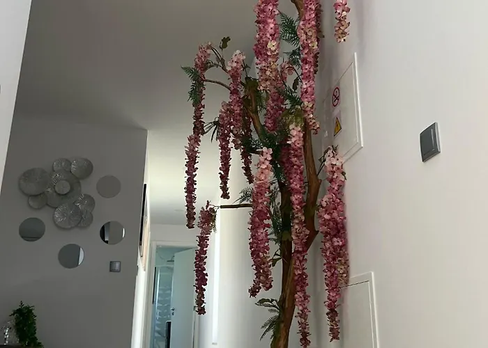 Vakantiehuis Sequeira Arantes Casa 2